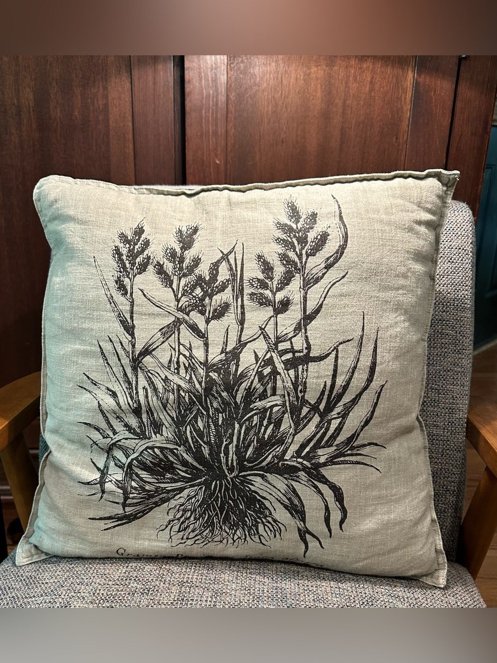 IKEA • Pillow case and insert • accent pillow